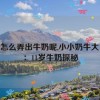 11岁怎么弄出牛奶呢,小小奶牛大冒险：11岁牛奶探秘