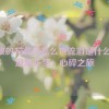 开放的花蕊你怎么也流泪是什么歌,泪落花蕊：心碎之旅