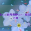 樱桃cherry官网,樱桃Chery：樱花冒险之旅