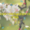 抓住花木兰的兔子,追逐花木兰的兔子冒险