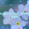 天美mv董小宛,天美MV：董小宛的奇幻冒险