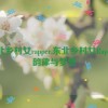 东北乡村女rapper,东北乡村女Rapper：韵律与梦想