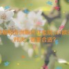 agv欧版和亚洲版尺寸差别,AGV欧亚版对决：谁更合适？