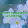 林先生的花式管教笔趣阁,林先生的花式管教大挑战