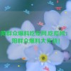 51朝阳群众爆料吃瓜网,吃瓜网：51朝阳群众爆料大作战！