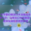 伽罗太华翻白眼流口水流眼泪全免费,伽罗太华：白眼流口水流眼泪，免费体验背后的奇妙世界