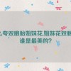 怎么夸双胞胎姐妹花,姐妹花双胞胎，谁是最美的？