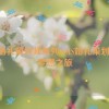 ssis婚礼策划师系列,SSIS婚礼策划师：梦想之旅