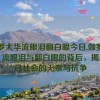 伽罗太华流眼泪翻白眼今日,伽罗太华：流眼泪与翻白眼的背后，揭示今日社会的无奈与抗争