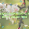 高压监狱女狱警满天星叫什么名字,满天星：高压监狱的秘密