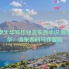 伽罗太华写作业流东西小说,伽罗太华：流东西的写作冒险