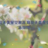 麻花天美星空果冻,麻花天美星空果冻探险