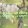 7x7x7x7x任意槽2023基础,探索无限可能：7x7x7x7x任意槽2023基础的奇妙旅程