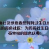 海角社区绿意盎然妈妈过生日,绿意盎然的海角社区：为妈妈过生日，点亮幸福的绿色庆典！