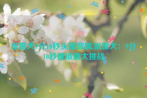 张警犬9分10秒头撞玻璃,张警犬：9分10秒撞玻璃大挑战