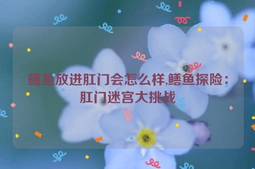 鳝鱼放进肛门会怎么样,鳝鱼探险：肛门迷宫大挑战