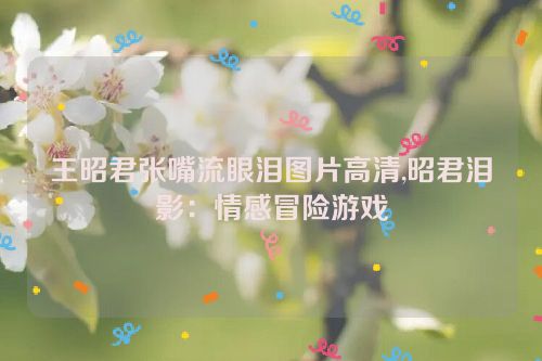 王昭君张嘴流眼泪图片高清,昭君泪影：情感冒险游戏