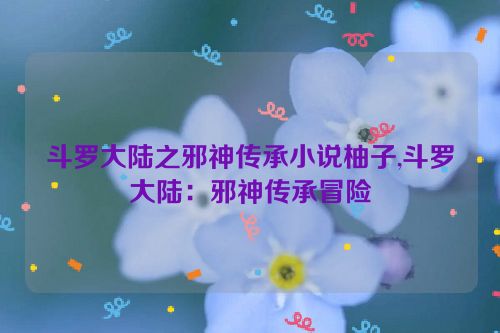 斗罗大陆之邪神传承小说柚子,斗罗大陆：邪神传承冒险