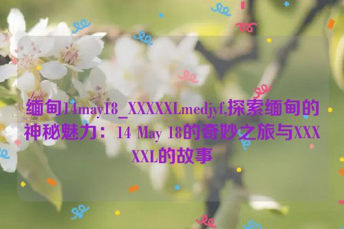 缅甸14may18_XXXXXLmedjyf,探索缅甸的神秘魅力：14 May 18的奇妙之旅与XXXXXL的故事