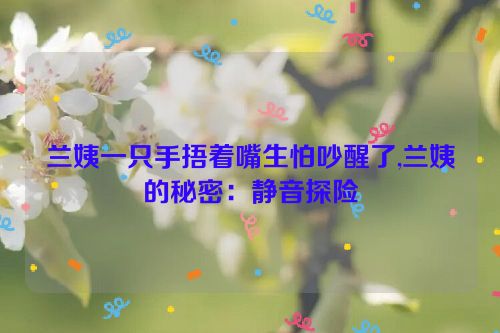 兰姨一只手捂着嘴生怕吵醒了,兰姨的秘密：静音探险