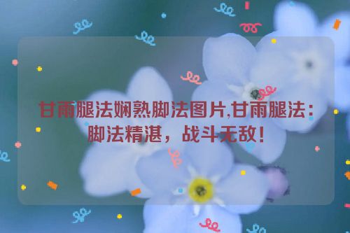 甘雨腿法娴熟脚法图片,甘雨腿法：脚法精湛，战斗无敌！