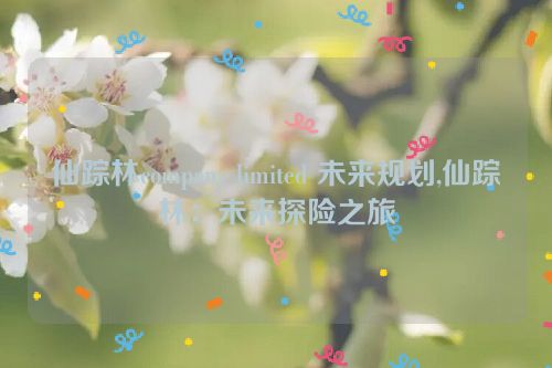 仙踪林company limited 未来规划,仙踪林：未来探险之旅