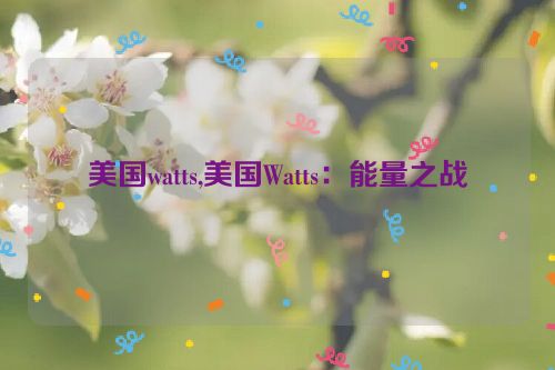 美国watts,美国Watts：能量之战