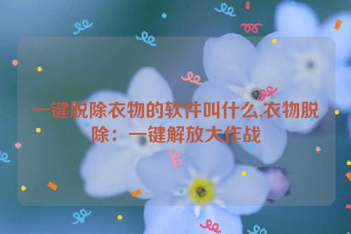 一键脱除衣物的软件叫什么,衣物脱除：一键解放大作战