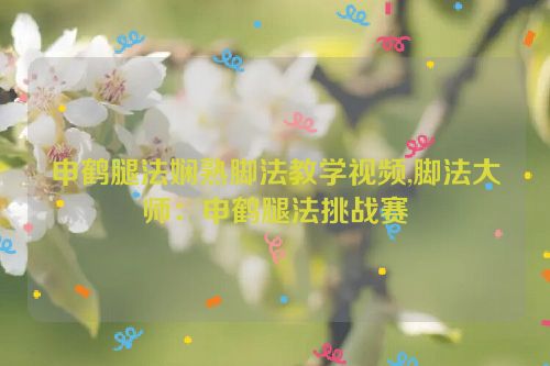 申鹤腿法娴熟脚法教学视频,脚法大师：申鹤腿法挑战赛