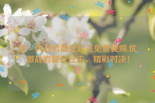 优菈大战岩盔丘丘王免费视频,优菈激战岩盔丘丘王，精彩对决！