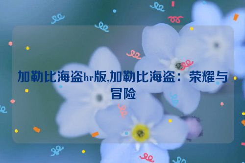 加勒比海盗hr版,加勒比海盗：荣耀与冒险