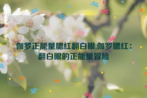 伽罗正能量腮红翻白眼,伽罗腮红：翻白眼的正能量冒险