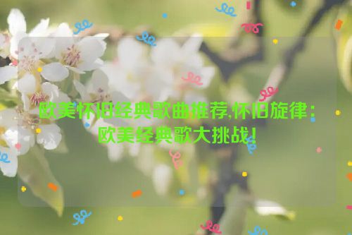 欧美怀旧经典歌曲推荐,怀旧旋律：欧美经典歌大挑战！