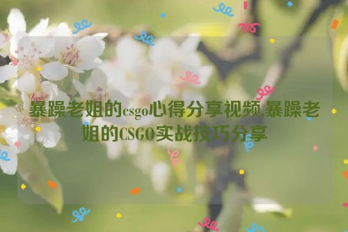 暴躁老姐的csgo心得分享视频,暴躁老姐的CSGO实战技巧分享