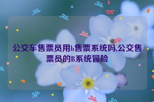 公交车售票员用b售票系统吗,公交售票员的B系统冒险