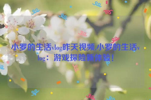 小罗的生活vlog昨天视频,小罗的生活vlog：游戏探险新体验！