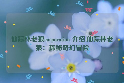 仙踪林老狼corporation 介绍,仙踪林老狼：探秘奇幻冒险