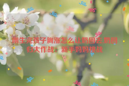 刚生完孩子胸涨怎么让奶回去,奶回归大作战：新手妈妈挑战