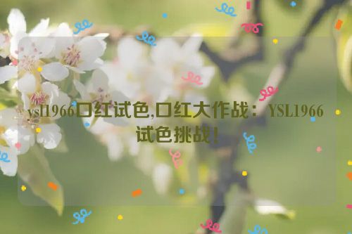 ysl1966口红试色,口红大作战：YSL1966试色挑战！