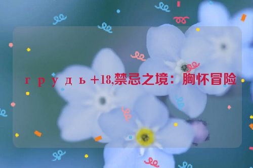 грудь+18,禁忌之境：胸怀冒险