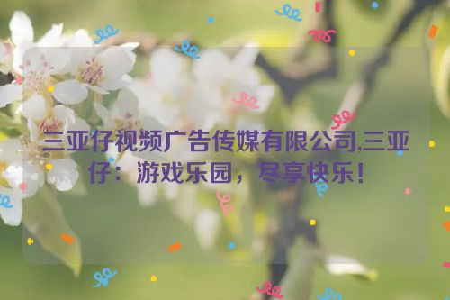 三亚仔视频广告传媒有限公司,三亚仔：游戏乐园，尽享快乐！