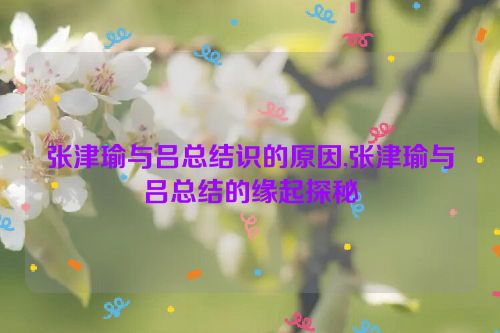 张津瑜与吕总结识的原因,张津瑜与吕总结的缘起探秘