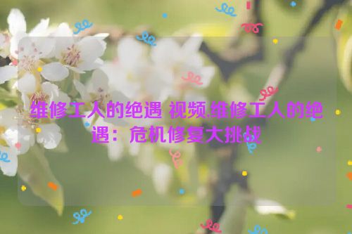 维修工人的绝遇 视频,维修工人的绝遇：危机修复大挑战