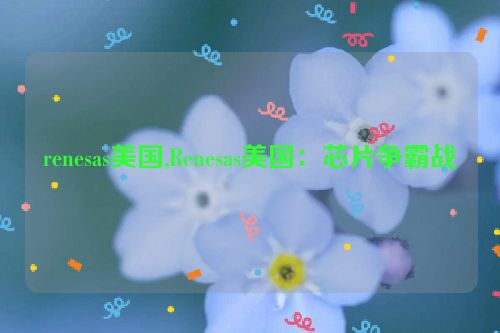 renesas美国,Renesas美国：芯片争霸战