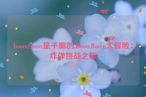 boomboom是干嘛的,BoomBoom大冒险：炸弹挑战之旅