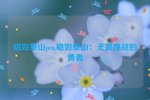 稳如泰山pro,稳如泰山：无畏挑战的勇者