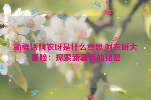 新疆话阿衣呀是什么意思,阿衣呀大冒险：探索新疆话的秘密