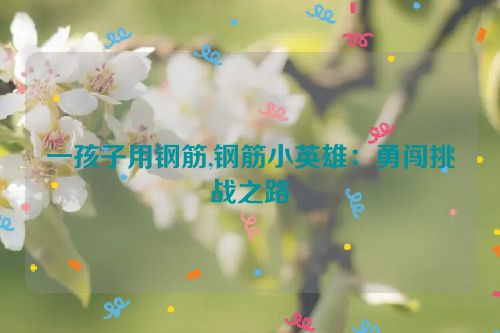 一孩子用钢筋,钢筋小英雄：勇闯挑战之路