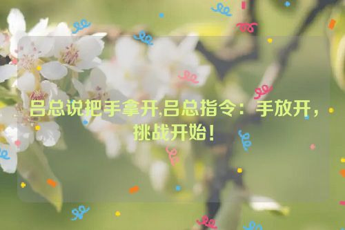 吕总说把手拿开,吕总指令：手放开，挑战开始！