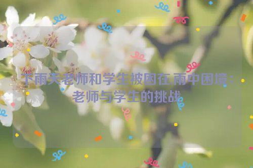 下雨天老师和学生被困在,雨中困境：老师与学生的挑战